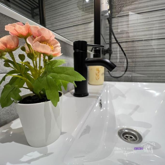 Apartamento El Mozo Labastida Ngoại thất bức ảnh