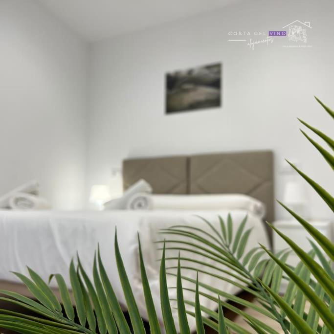 Apartamento El Mozo Labastida Ngoại thất bức ảnh